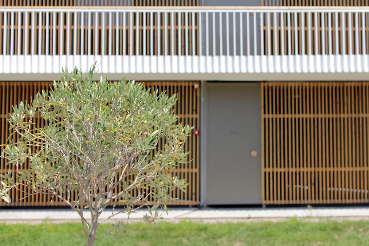 Despotiko Apt. Hotel & Suites Torone Exterior foto